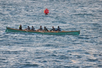 DSC_8050.jpg