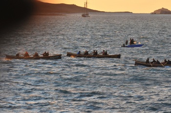 DSC_8064.jpg