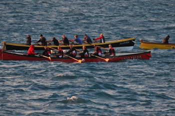 DSC_8104.jpg