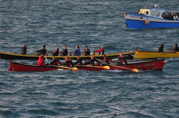 DSC_8106.jpg
